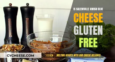 Amish Blue Cheese: Gluten-Free Delicacy from Salemville