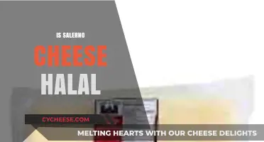 Is Salerno Cheese Halal? A Comprehensive Guide for Muslim Consumers