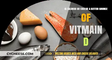 Salmon vs. Cheese: Which Offers More Vitamin D Benefits?