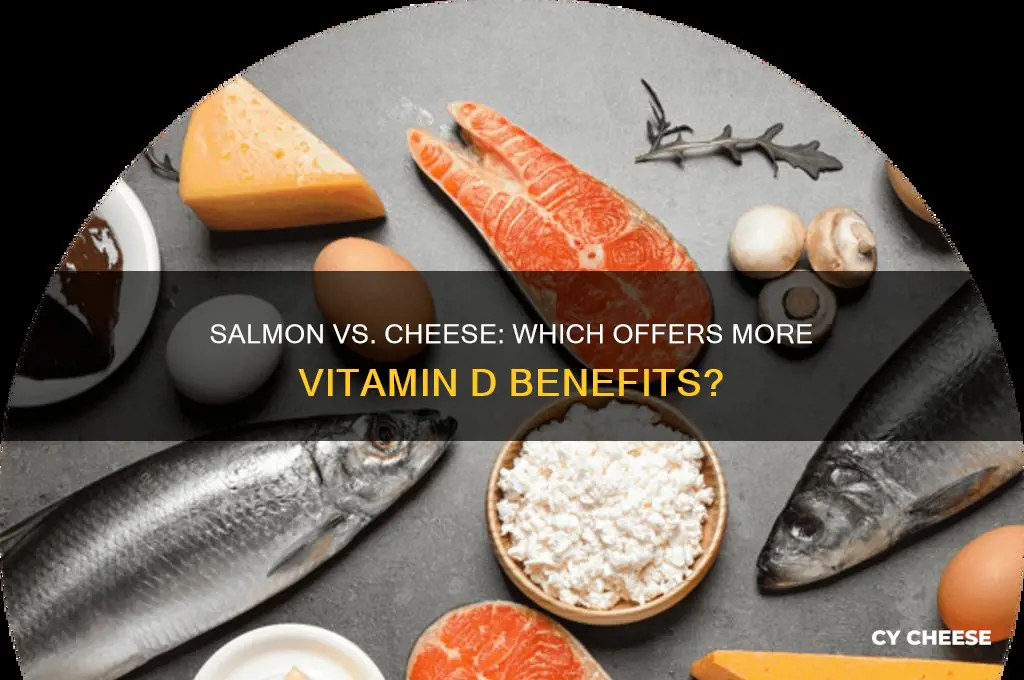 is salmon or cheese a better source of vitmain d