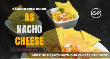 Salsa con Queso vs. Nacho Cheese: Unraveling the Cheesy Confusion