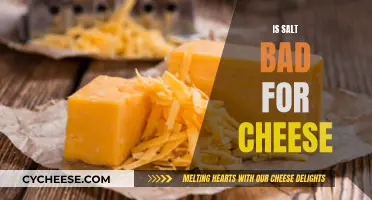 Salt and Cheese: A Match Made in Heaven?