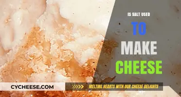 Salt's Role in Cheese Making