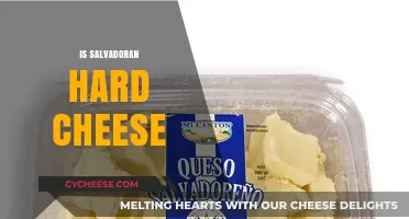 Exploring Salvadoran Hard Cheese: Texture, Flavor, and Culinary Uses