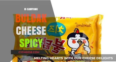 Is Samyang Buldak Cheese Spicy? A Tasty Heat Level Review