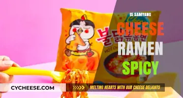 Is Samyang Cheese Ramen Spicy? A Tasty Heat Level Review