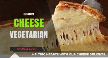 Is Saputo Cheese Vegetarian? A Comprehensive Guide for Cheese Lovers