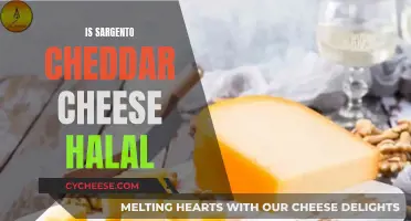 Is Sargento Cheddar Cheese Halal? Unveiling the Truth