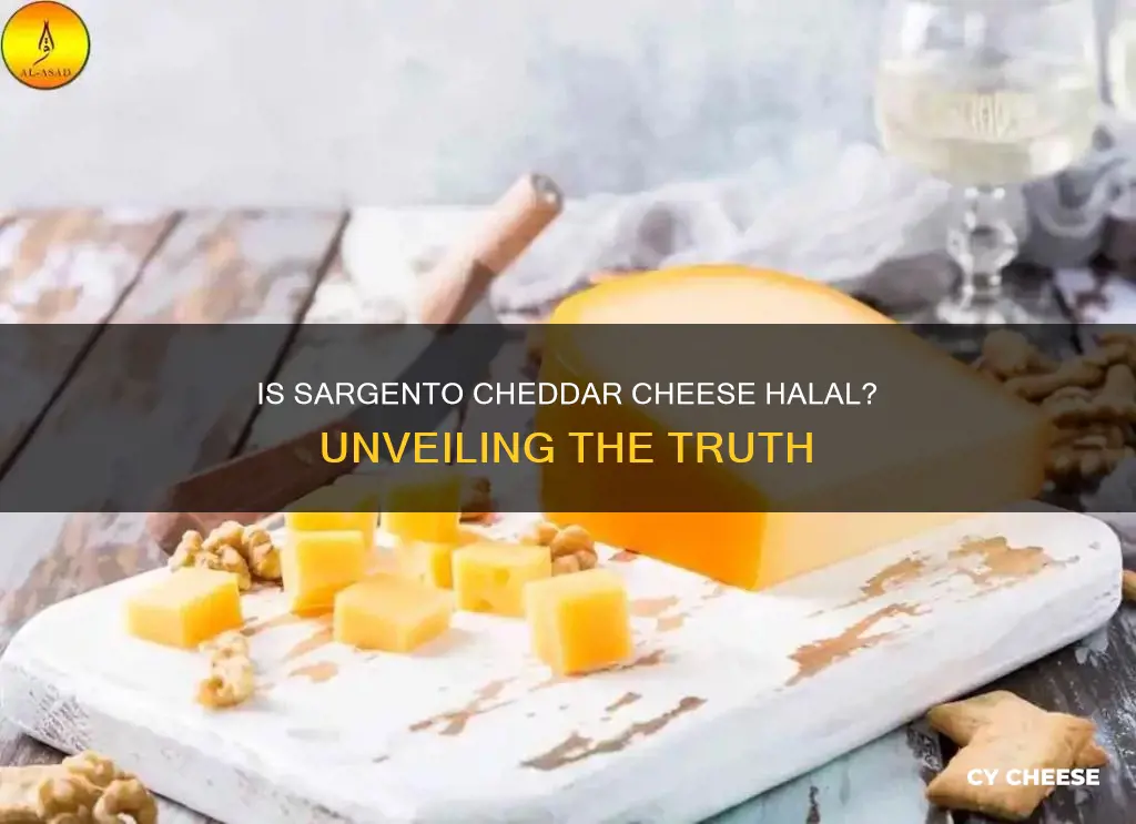 is sargento cheddar cheese halal