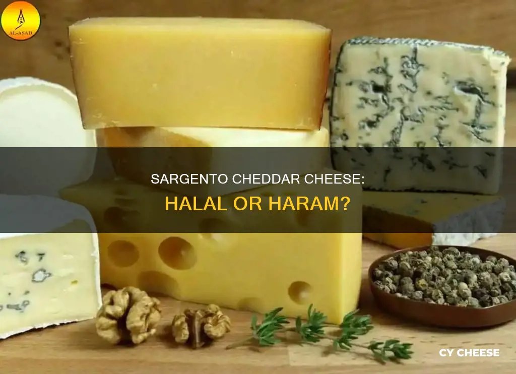 is sargento cheddar cheese halal