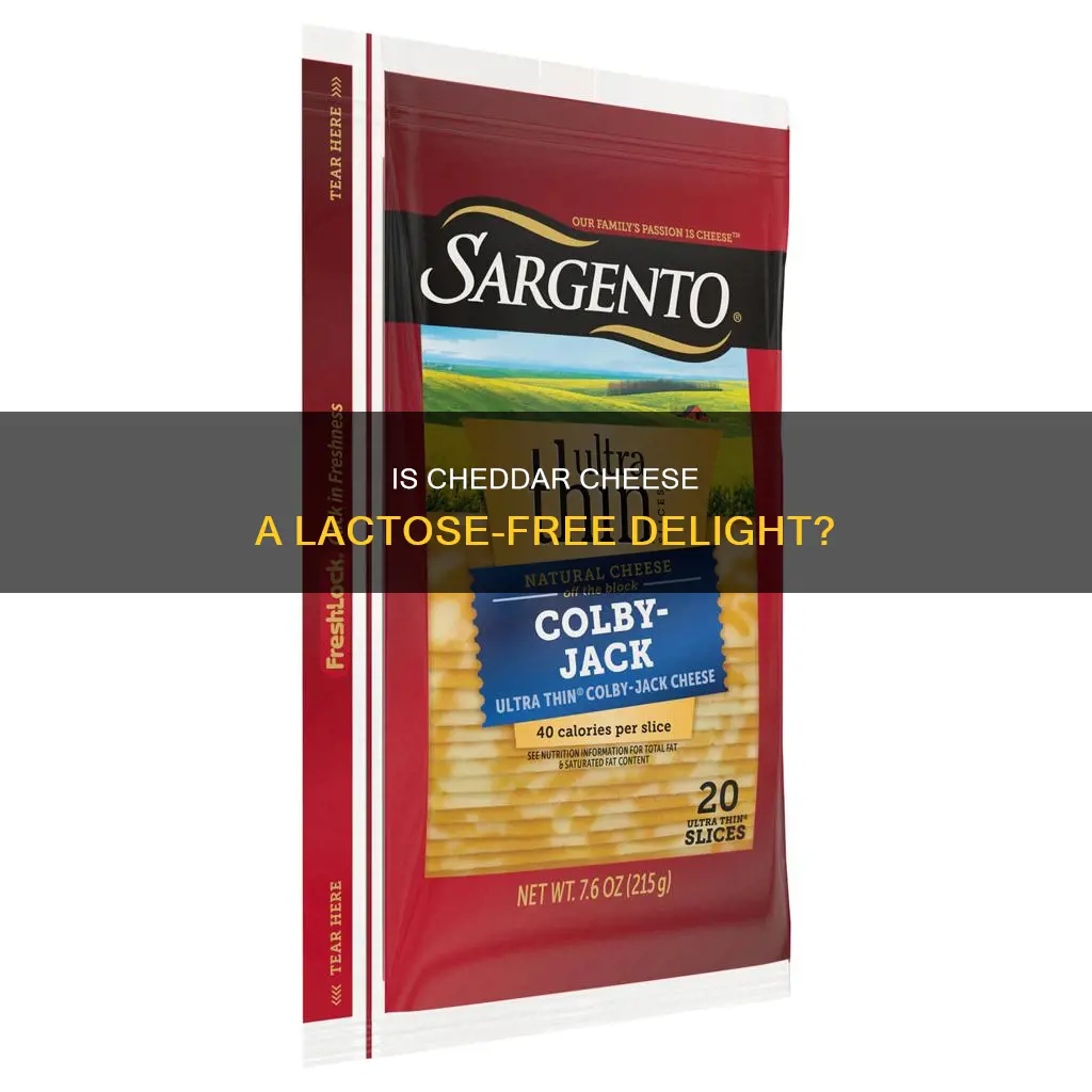 is sargento cheddar cheese lactose free