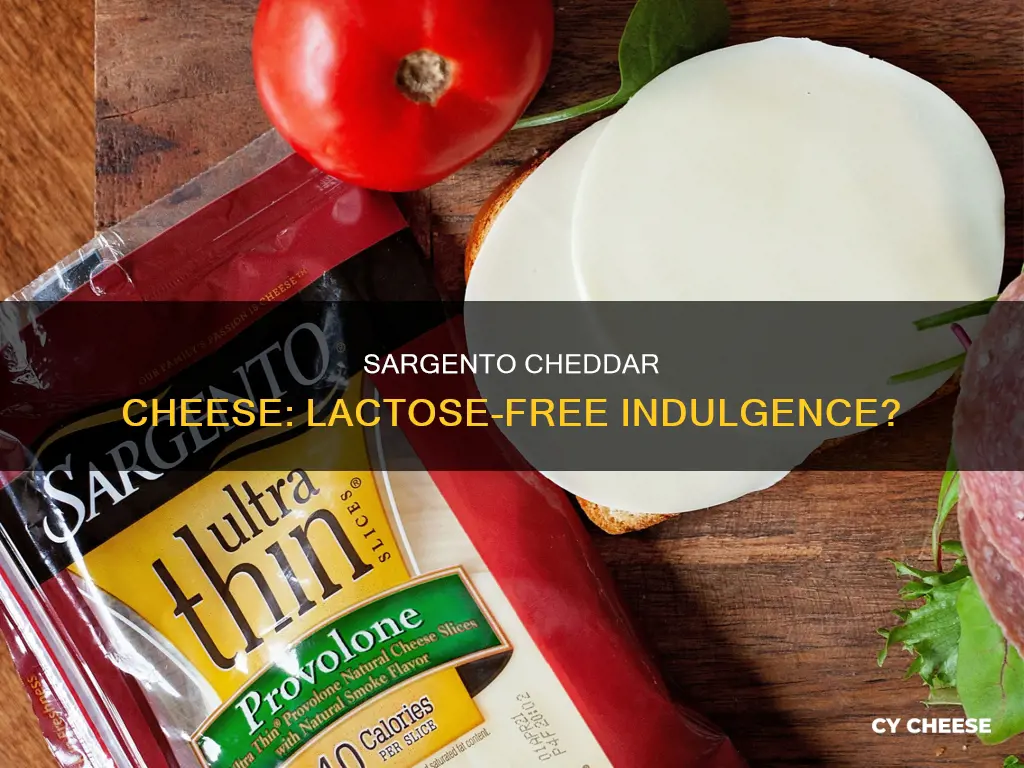 is sargento cheddar cheese lactose free