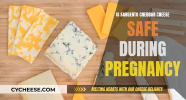 Sargento Cheddar Cheese: Safe for Pregnancy?