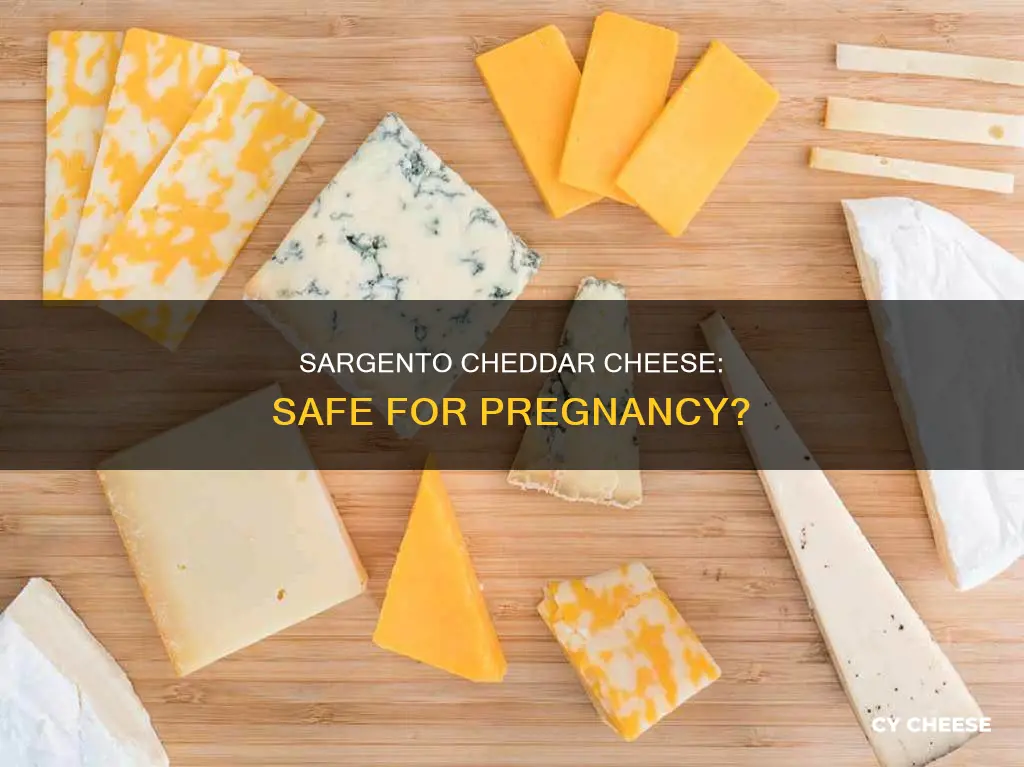 is sargento cheddar cheese safe during pregnancy