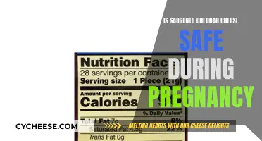 Pregnancy and Cheese: Is Sargento Cheddar Safe?