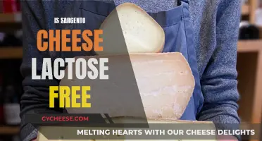 Lactose-Free Living: Sargento Cheese's Surprising Health Benefits