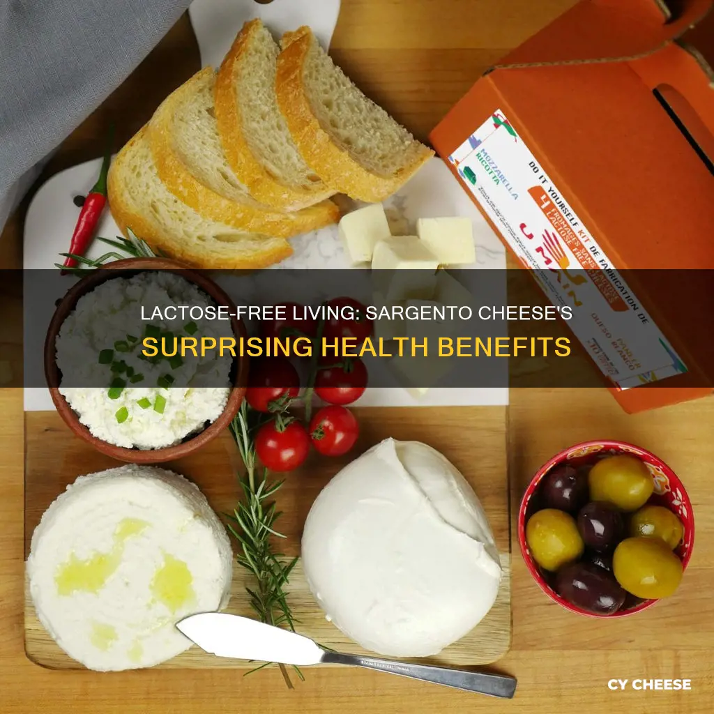 is sargento cheese lactose free