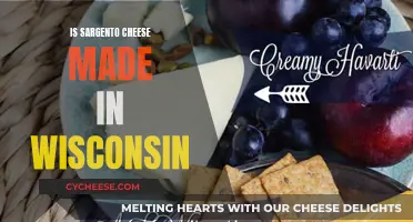 Sargento Cheese: Wisconsin-Made?
