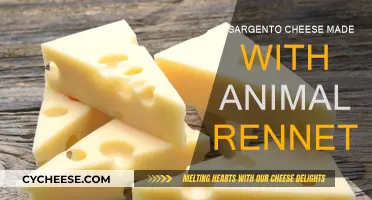 Sargento Cheese: Animal-Free or Not? Unveiling the Secret Ingredient