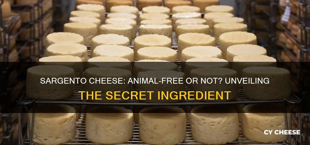 is sargento cheese made with animal rennet