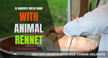 Sargento Cheese: Animal Rennet Use Explained