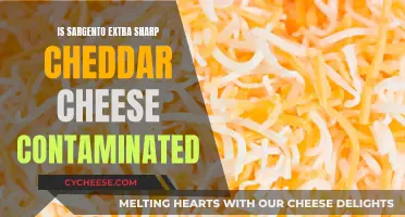 Sargento Extra Sharp Cheddar: Contamination Concerns and Safety Checks