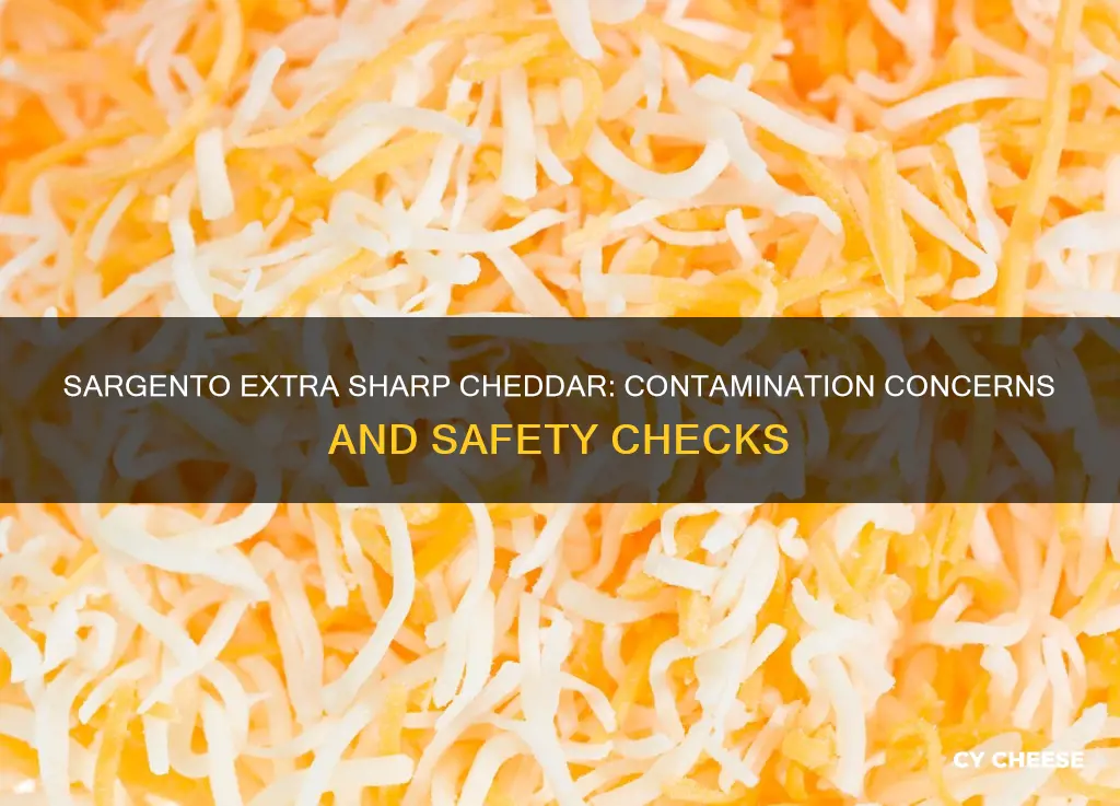 is sargento extra sharp cheddar cheese contaminated