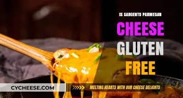 Gluten-Free Sargento Parmesan Cheese: Is It Safe?