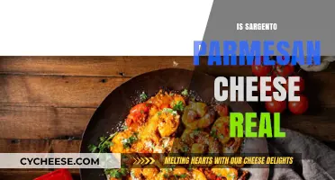 Is Sargento Parmesan Cheese Authentic?