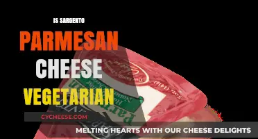 Parmesan Cheese: Vegetarian or Not?