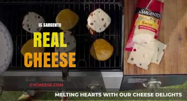 Is Sargento Real Cheese? Uncovering the Truth Behind the Brand
