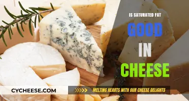 Is Saturated Fat in Cheese Healthy or Harmful? Unraveling the Truth