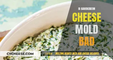 Is Sauerkraut Mold Dangerous?