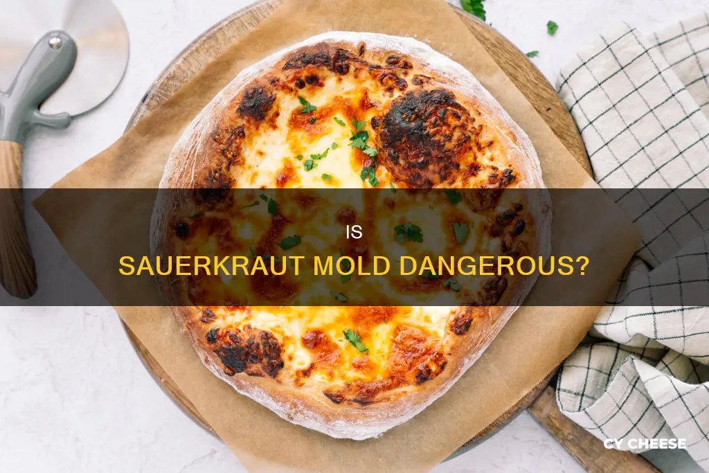 is sauercreem cheese mold bad