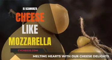 Scamorza and Mozzarella: What's the Difference?