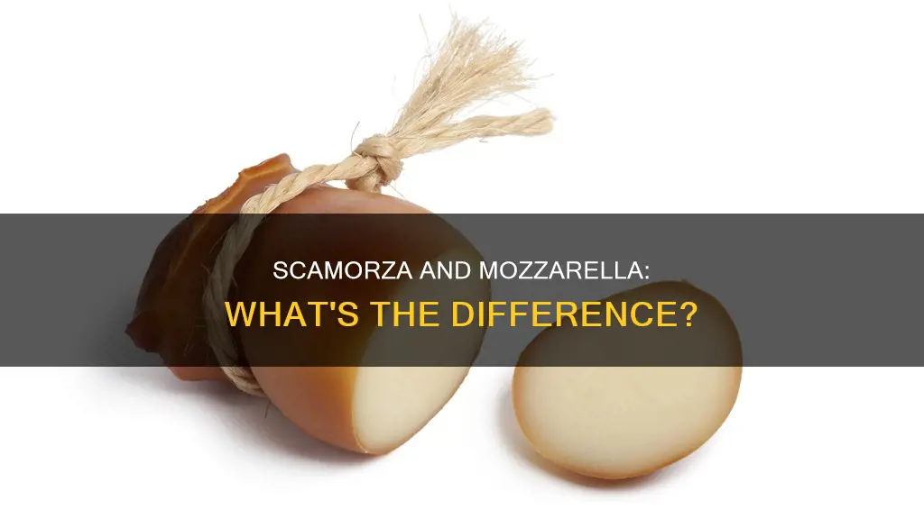 is scamorza cheese like mozzarella
