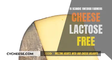 Swedish Farmers Cheese: Lactose-Free Superfood?