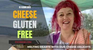 Gluten-Free Schreiber Cheese: What You Need to Know