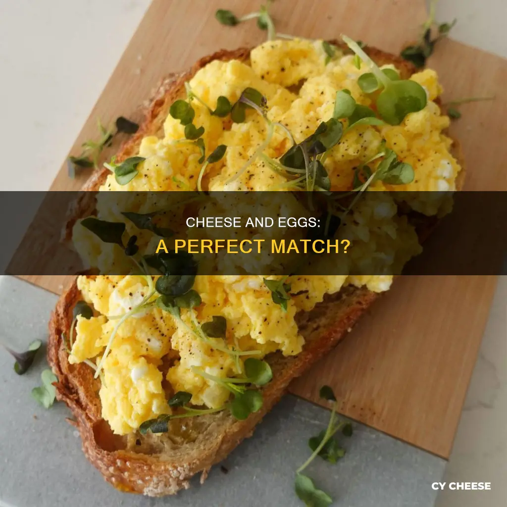 is scrambled eggs best with cheese