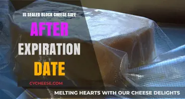 Is Sealed Block Cheese Safe After Expiration Date? Find Out