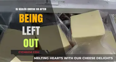 Is Sealed Cheese Safe After Being Left Out Overnight?