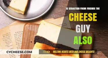 Is Sebastian from Friends the Cheese Guy? Unraveling the Mystery