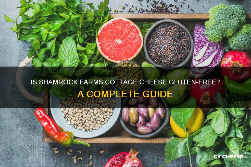 is shamrock farms cottage cheese gluten free