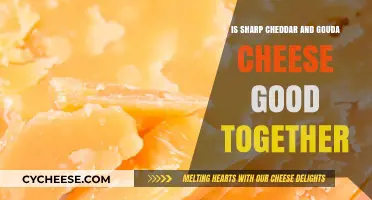 Sharp Cheddar and Gouda: A Perfect Cheese Pairing or Not?
