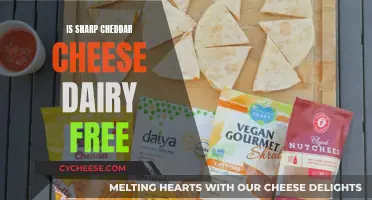 Is Cheddar Cheese Dairy-Free? Unraveling the Cheese Conundrum