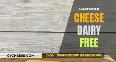Cheddar Conundrum: Is Sharp Cheddar Cheese Dairy-Free?