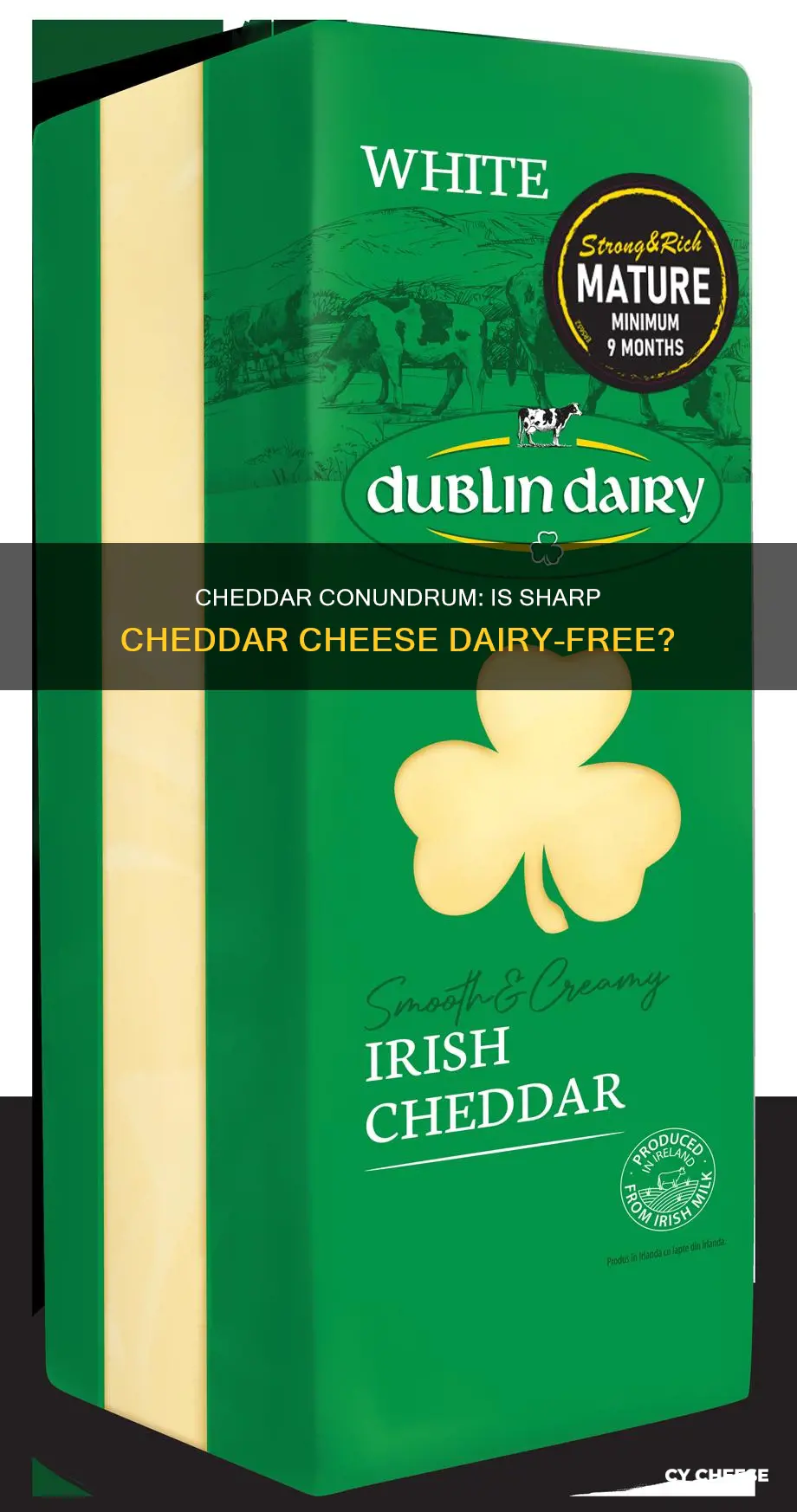 is sharp cheddar cheese dairy free