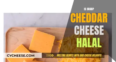 Is Cheddar Cheese Halal? Unraveling the Cheese Conundrum