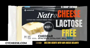 Is Cheddar Cheese Lactose-Free? Unraveling the Cheese Conundrum