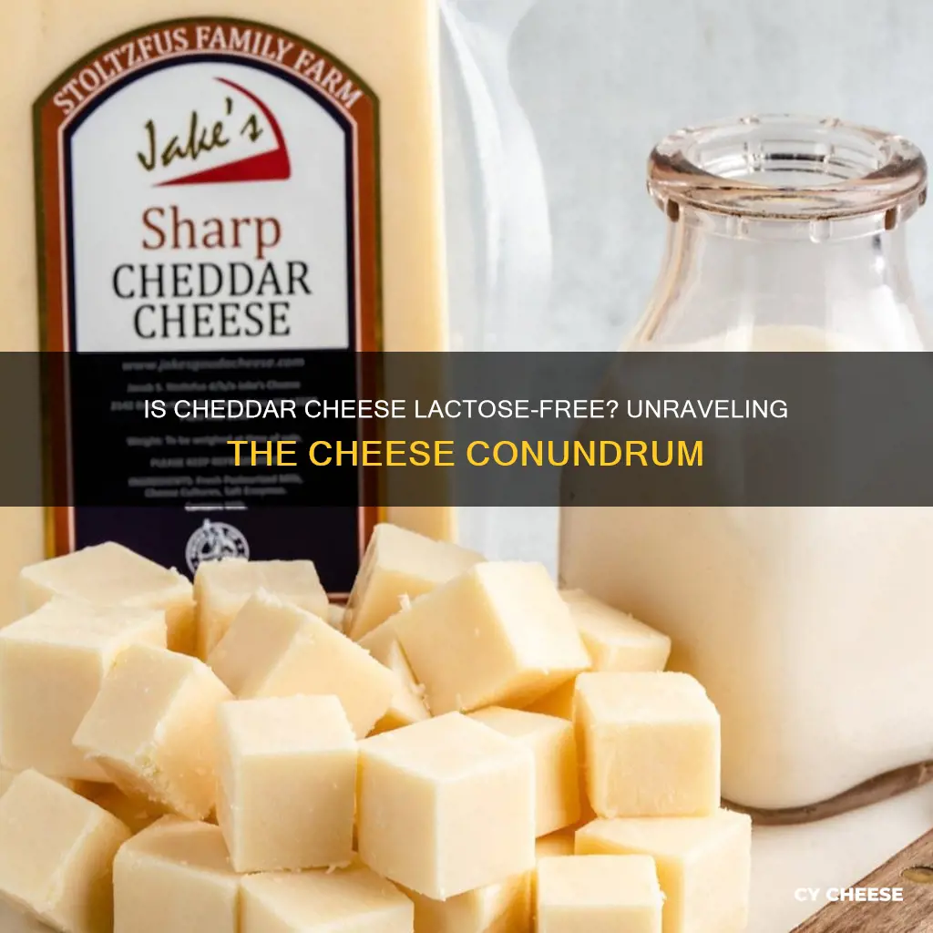 is sharp cheddar cheese lactose free